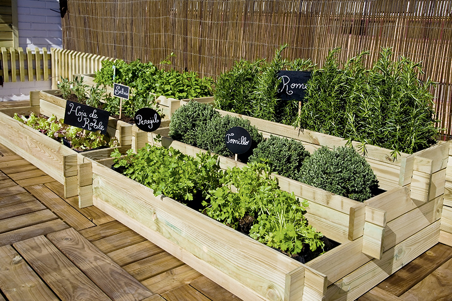 Crea tu propio huerto urbano en jardín o en terraza - Agromática