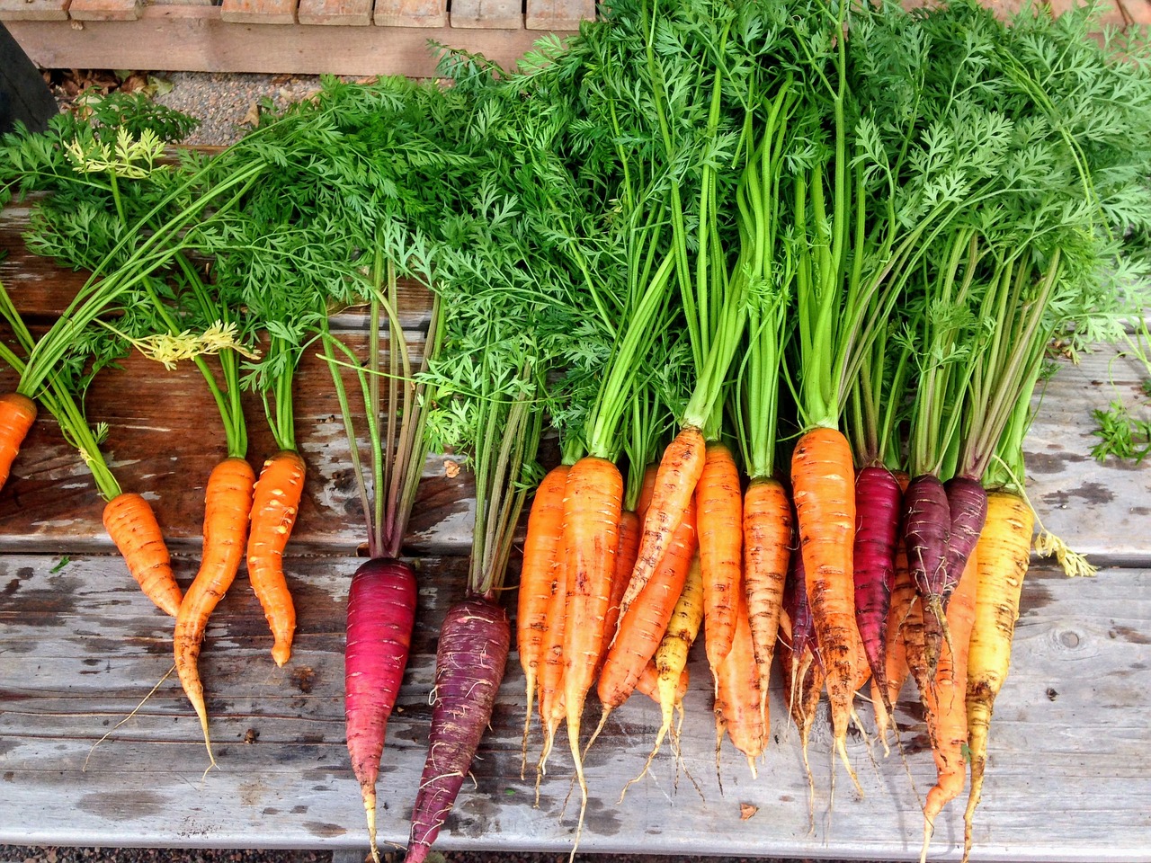 colores de las zanahorias